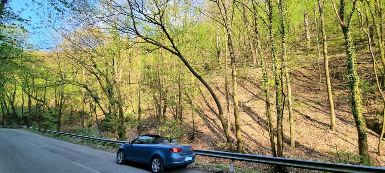 Hos-Cegledi Vendeghaz Miskolc -Oenallo Otthon, Mely Csak Az Oenoeke Extérieur photo