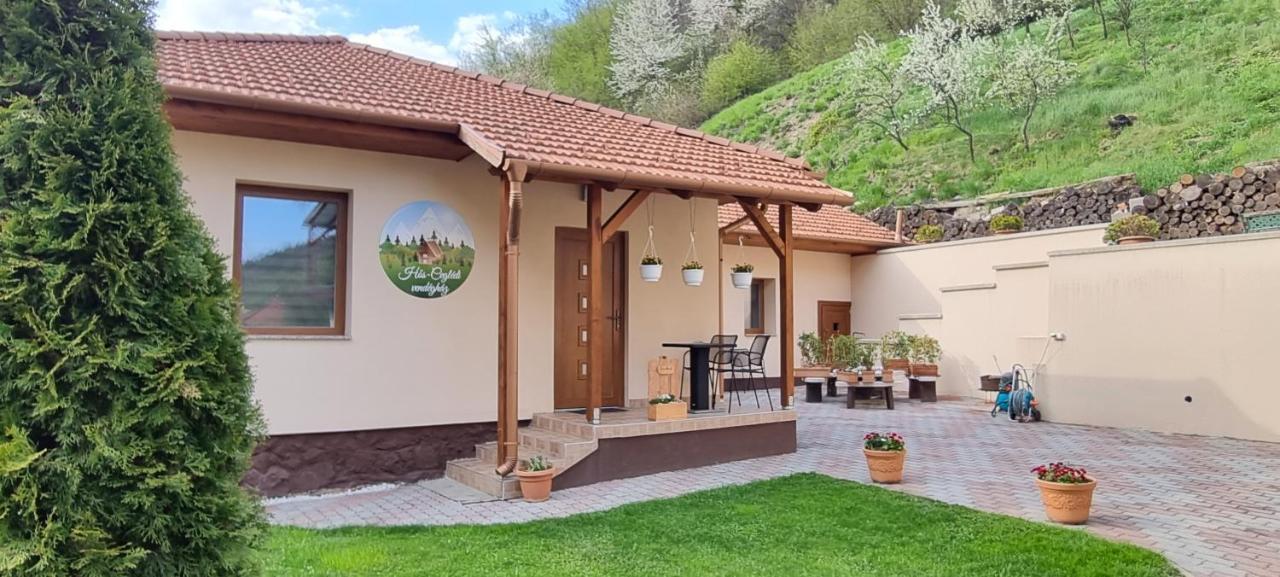 Hos-Cegledi Vendeghaz Miskolc -Oenallo Otthon, Mely Csak Az Oenoeke Extérieur photo